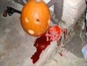 Suicidal Pumpkin