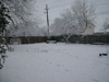 backyard covered in snow