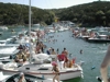 Devil's Cove Lake Travis July 4th